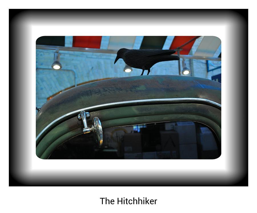 Crow Photograph - The Hitchhiker by Daryl Macintyre