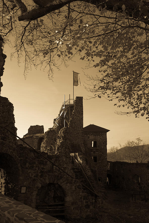 The Hohenstein castle Photograph by Andreas Levi
