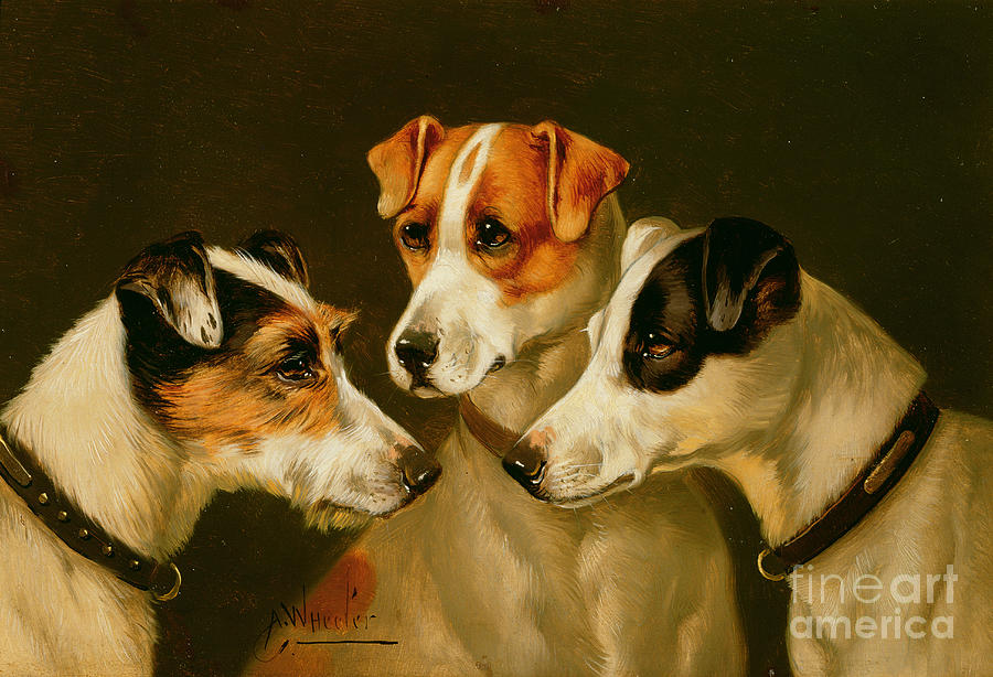 Dog Painting - The Hounds by Alfred Wheeler