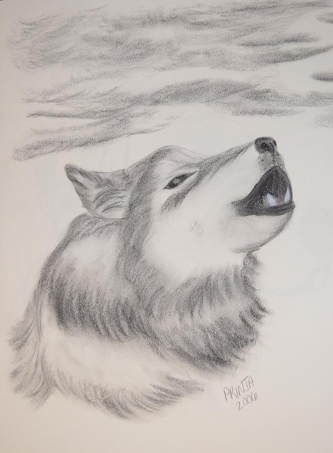 The Howler Drawing by Maria Urso
