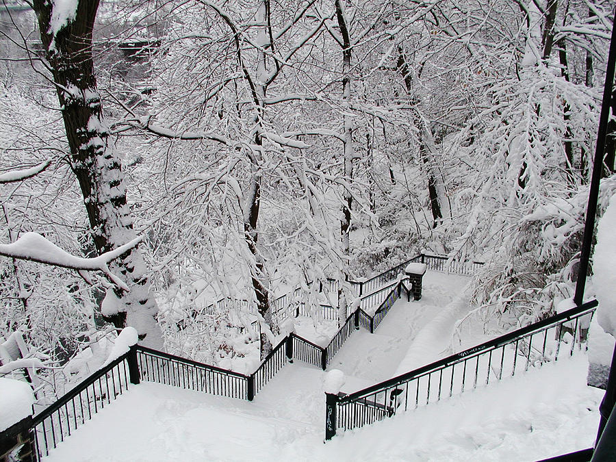 The Hundred Steps in the Snow Photograph by Bill Cannon
