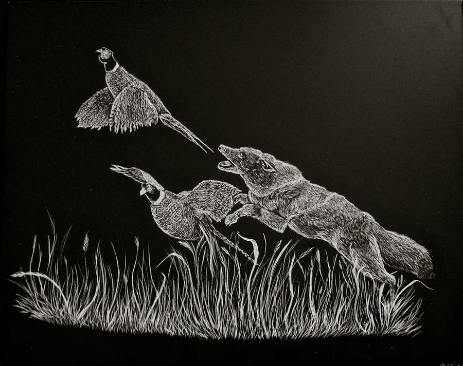 Nature Drawing - The Hunt by Bre Callear