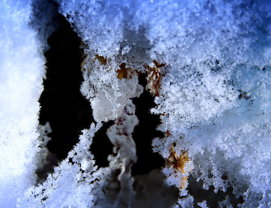 The Ice Cave Photograph by Ellen Heaverlo