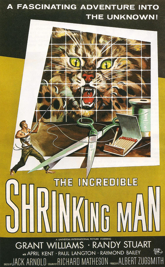 The Incredible Shrinking Man Photograph by Georgia Clare