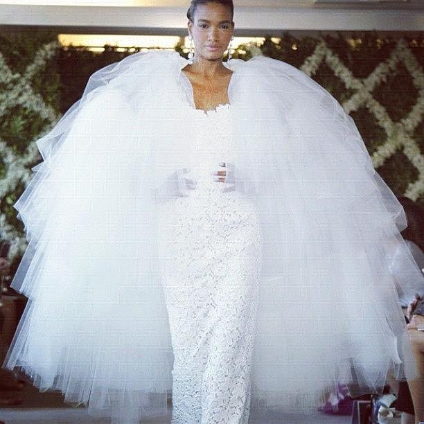 The Inversion Of Tulle In This Oscar De Photograph by MTen Ten