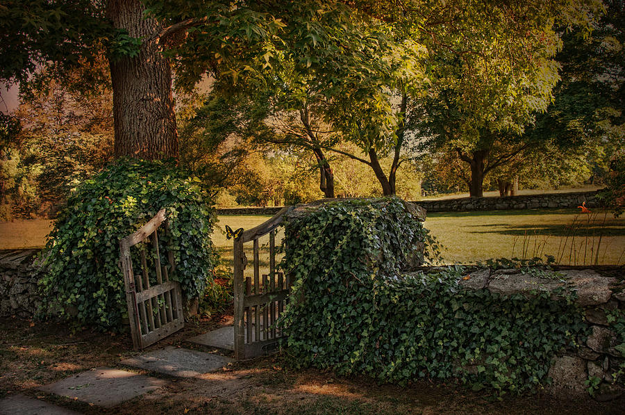 The Ivy Gate Photograph by Robin-Lee Vieira