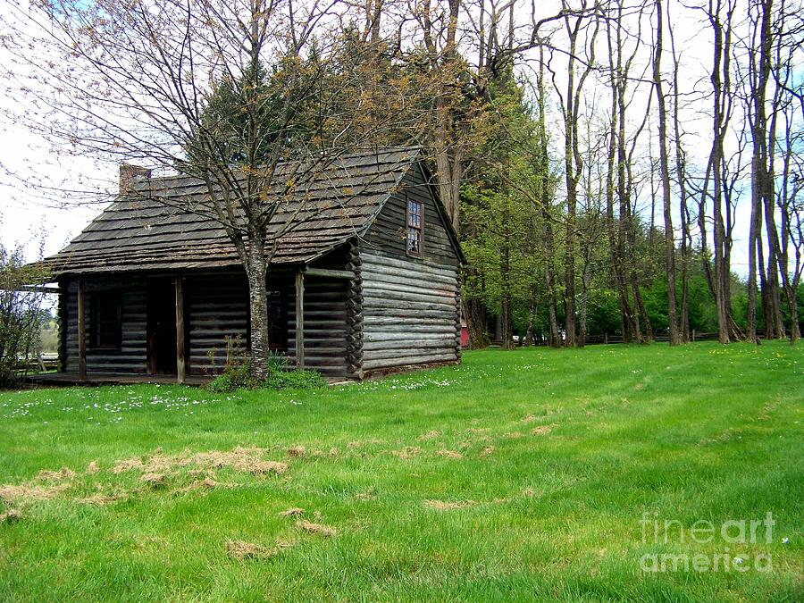 The Jackson Log Cabin Photograph By Charles Robinson