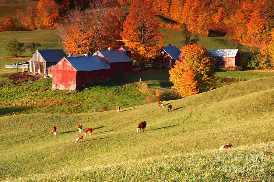 The Jenne Farm Photograph by Butch Lombardi
