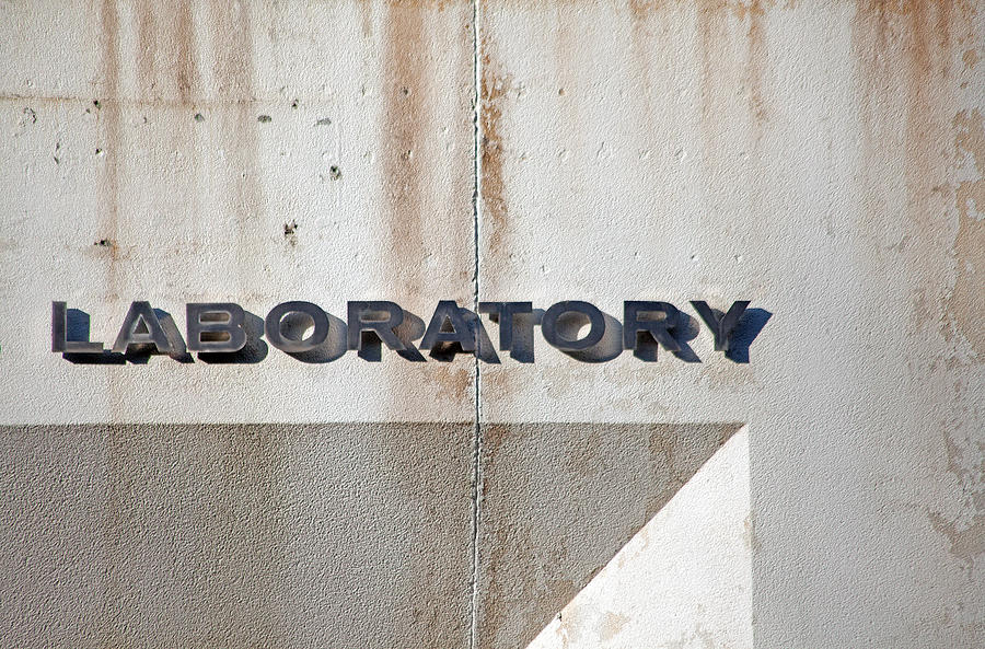 The Laboratory Photograph by Karol Livote