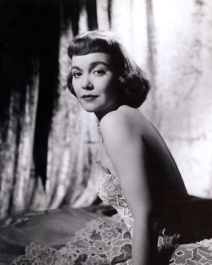 The Lady Takes A Sailor, Jane Wyman Photograph by Everett