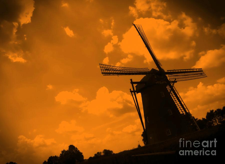 Holland Photograph - The Land of Orange by Carol Groenen