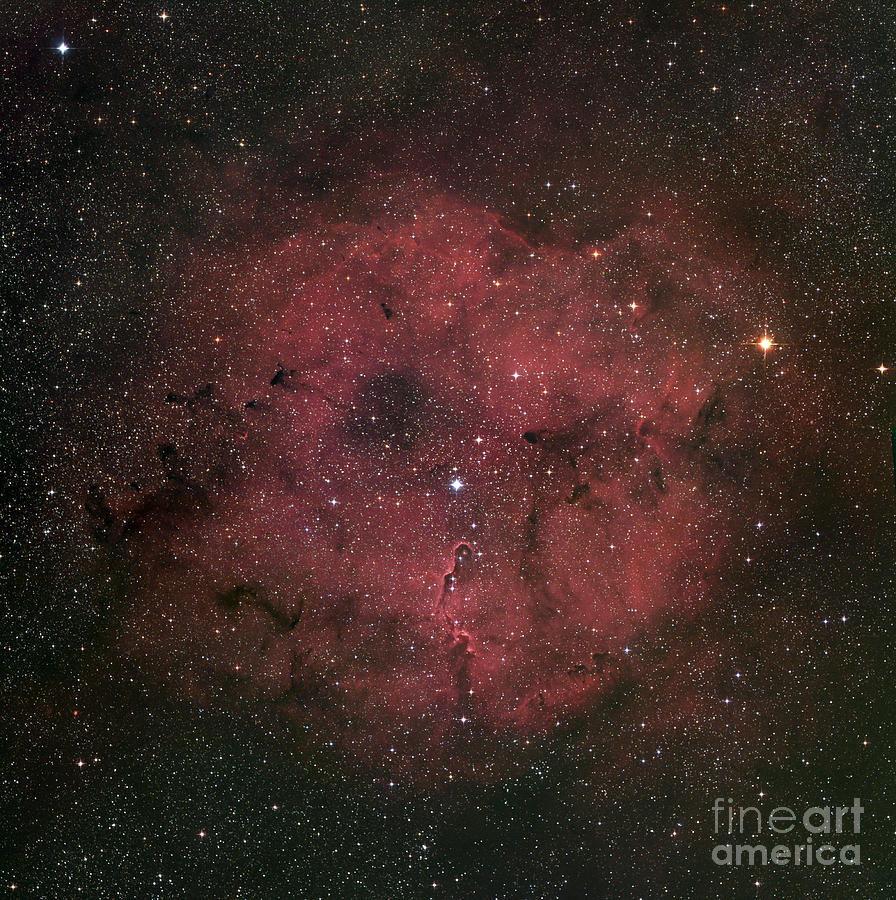 Space Photograph - The Large Ic 1396 Emission Nebula by Robert Gendler