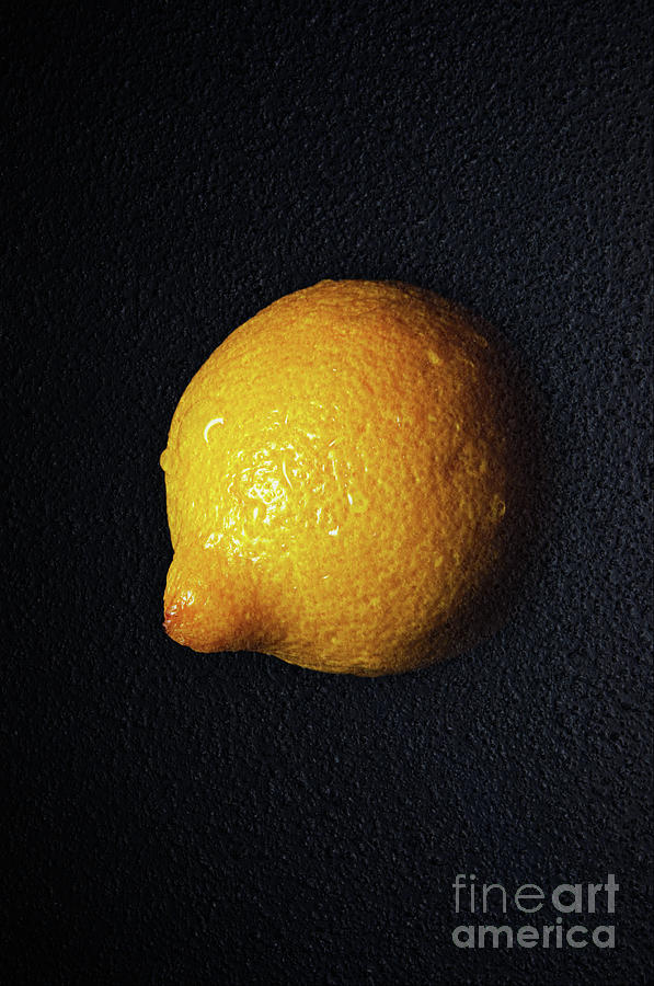 Lemon Photograph - The Lazy Lemon by Andee Design