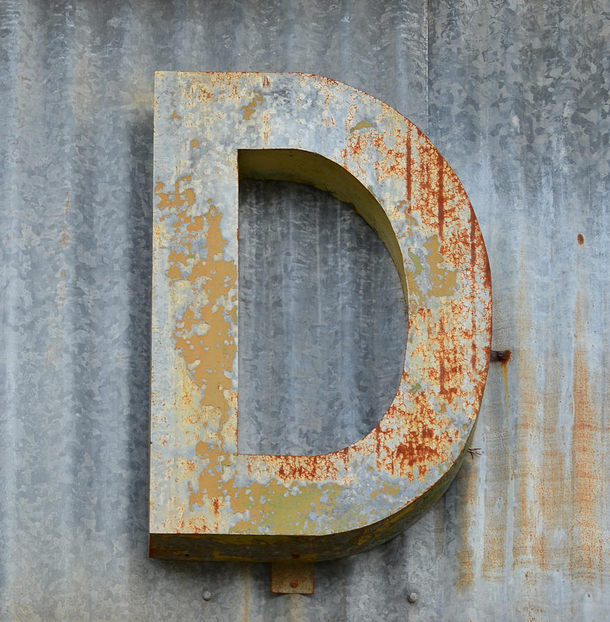 The Letter D Photograph by Nikki Smith