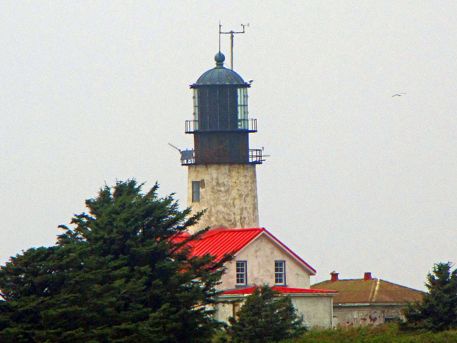 The Lighthouse of Tatoosh Photograph by Tikvahs Hope