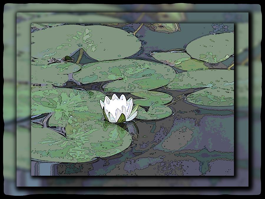 The Lily Bloom Digital Art by Tim Allen