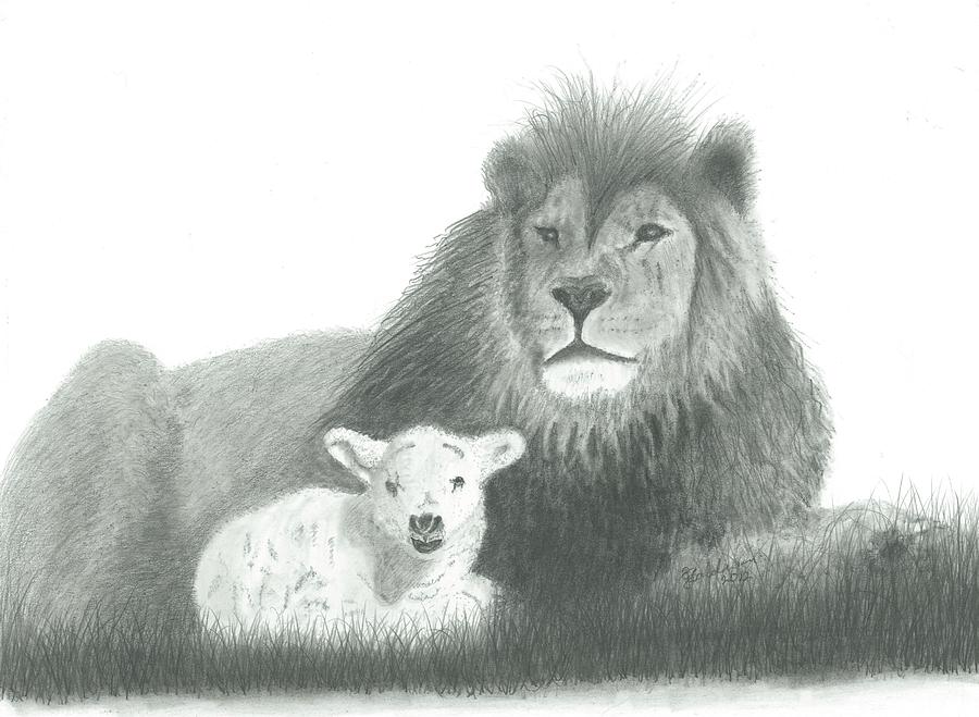 Wildlife Drawing - The Lion and the Lamb by EJ John Baldwin