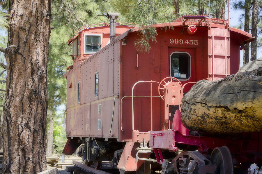 The Little Red Caboose Photograph by Donna Greene
