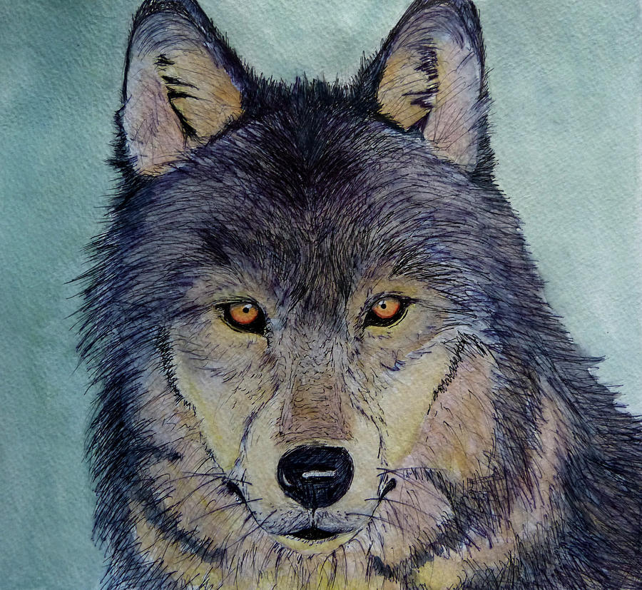 Wolves Painting - The Lone Wolf by Anthony Nold