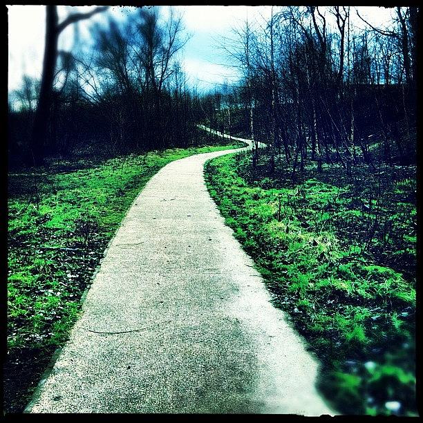 Tree Photograph - The Long & Winding Road... #hipstamatic by Jude L