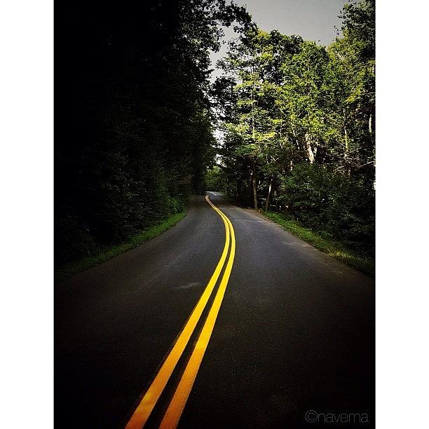Yellow Photograph - The Long & Winding Road by Natasha Marco