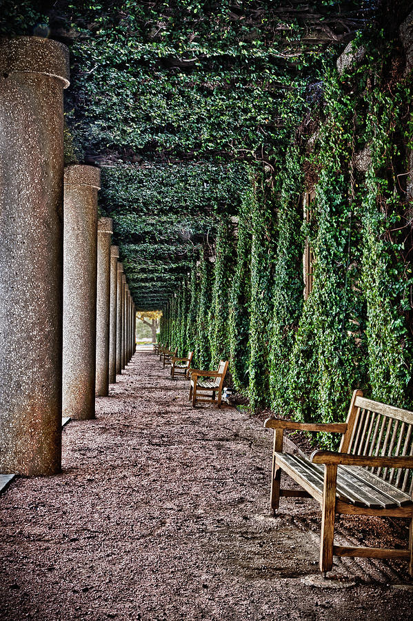 The Long Courtyard Photograph by James Woody