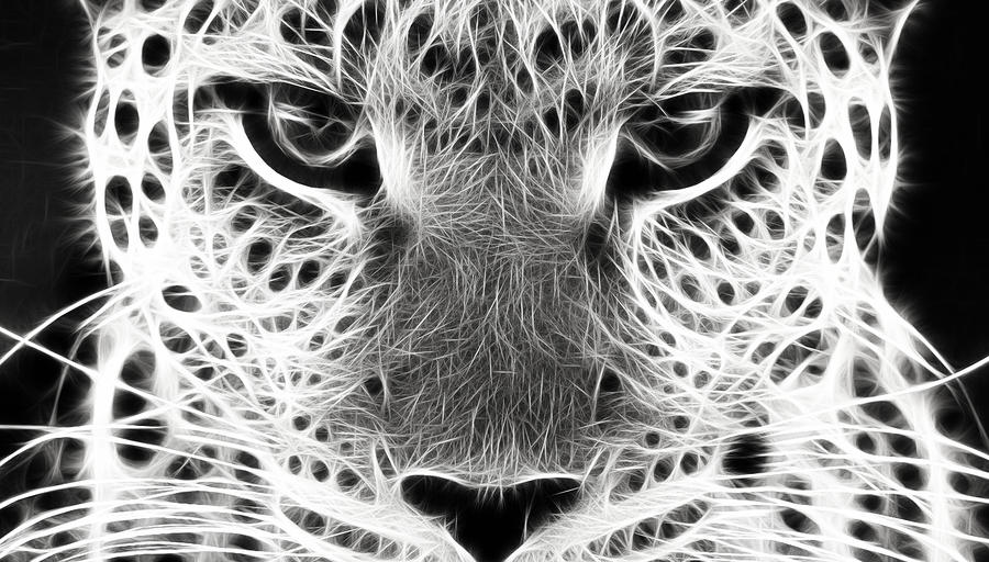 Wildlife Digital Art - The Look by Tilly Williams