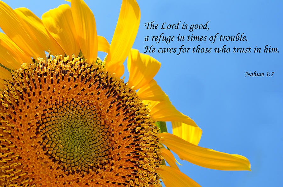 The Lord is good Photograph by J L - Fine Art America