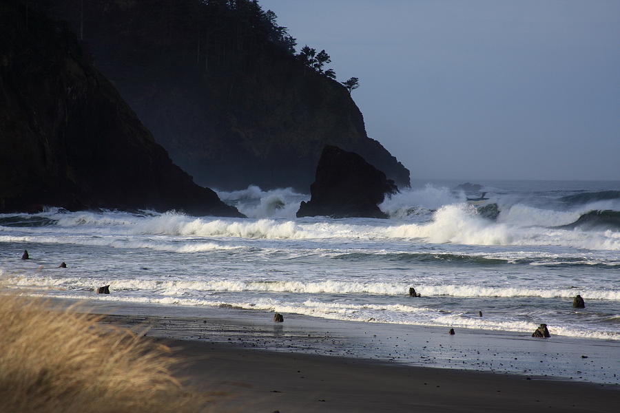 Oregon Coast Photograph - The Lost Forest by John McManus