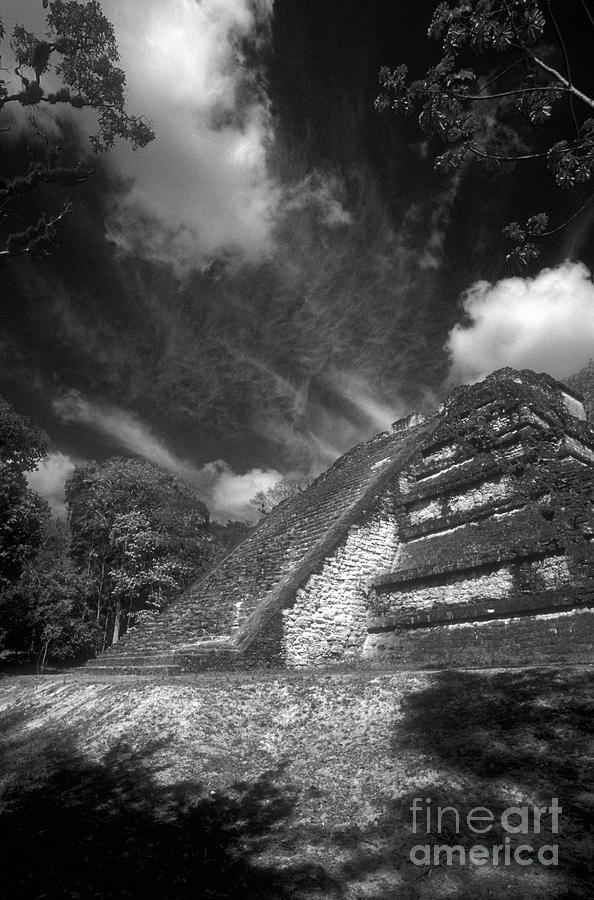 THE LOST WORLD Tikal Guatemala Photograph by John  Mitchell