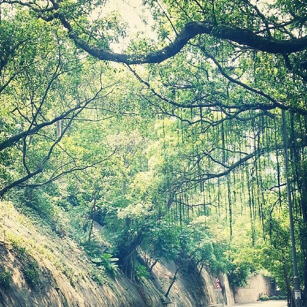 Nature Photograph - The Lovely City!!! #instamood by Xpedrongx XDD