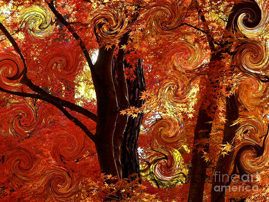 The Magic of Autumn - Digital Abstract Photograph by Carol Groenen