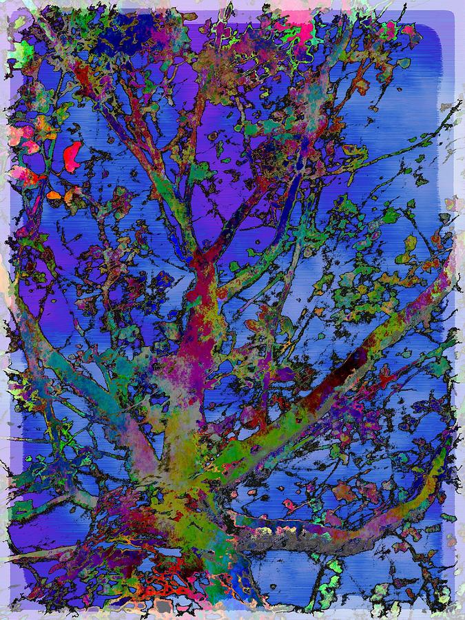 The Maple Tree Digital Art by Tim Allen