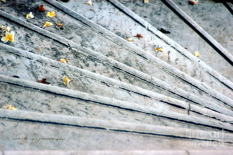 The Marble Steps of Life Photograph by Vicki Ferrari