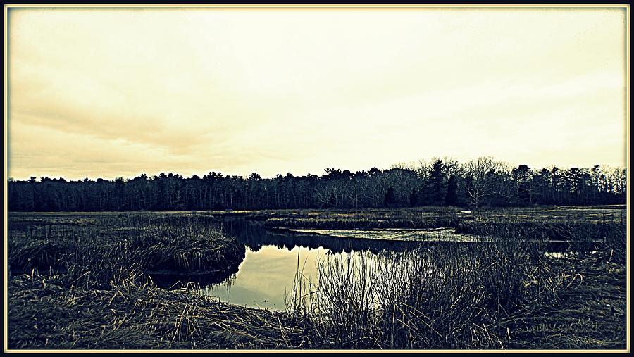 The Marsh Photograph by Marysue Ryan