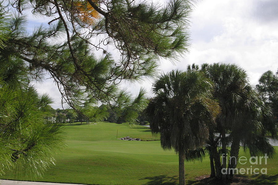 The Meadows Golf Course Sarasota FL Painting by Adele Pfenninger Fine