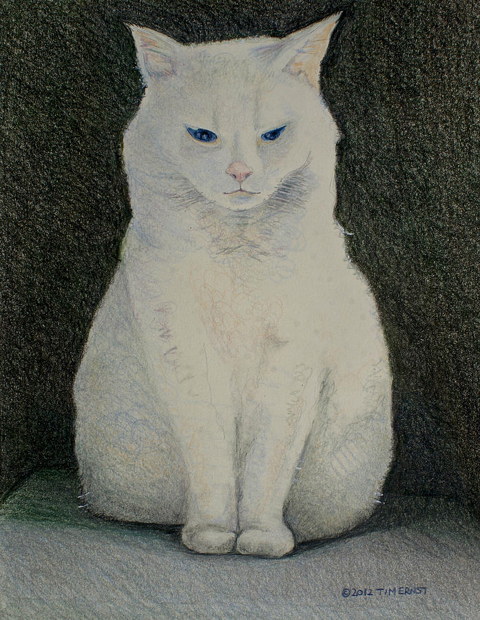 The Meditating Cat Drawing by Tim Ernst