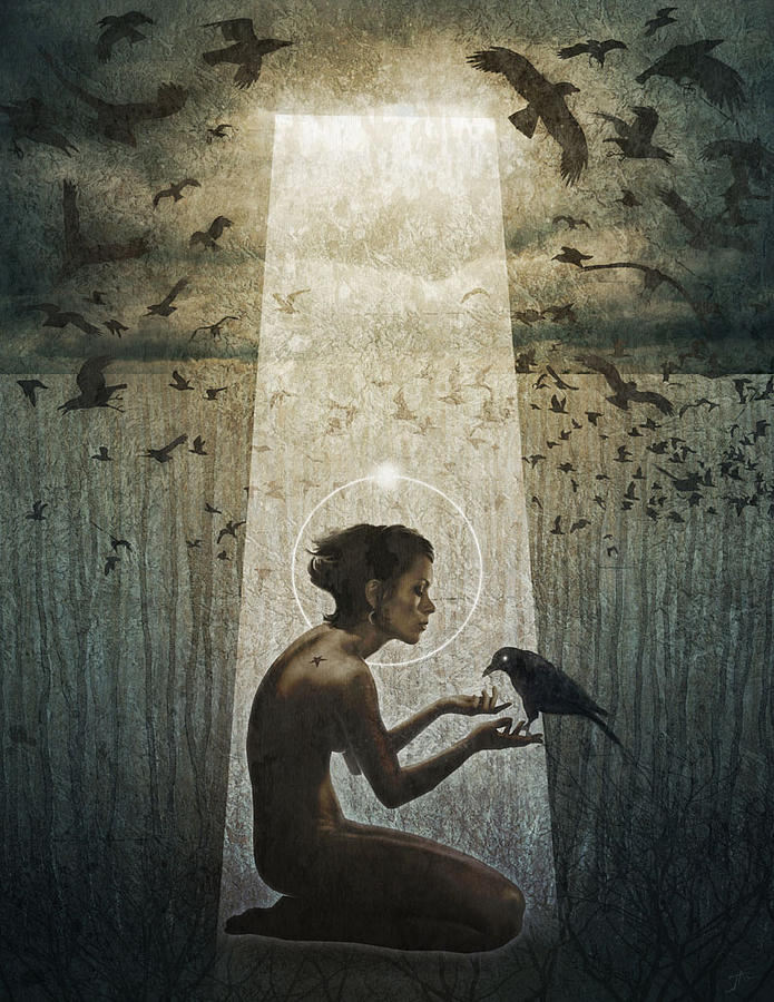 Raven Digital Art - The Messenger by Jason Engle
