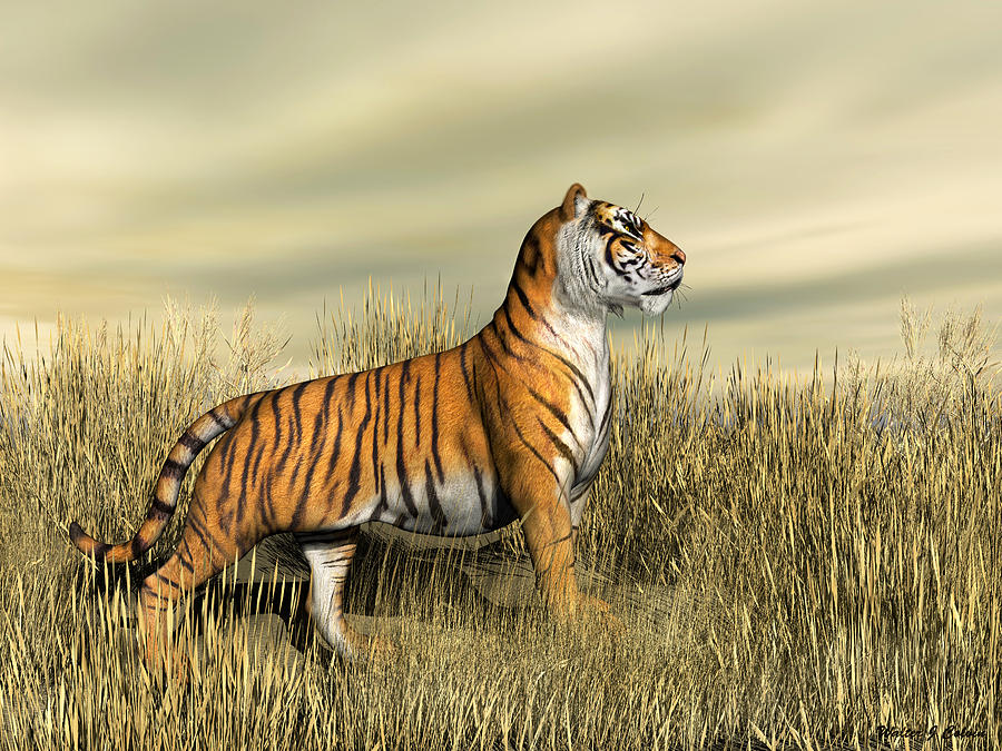 The Mighty Tiger Digital Art by Walter Colvin