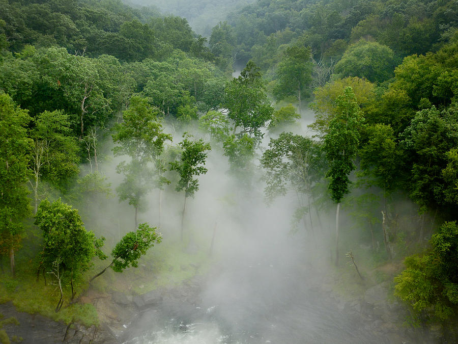 The Mist in the valley Photograph by Mark Dodd