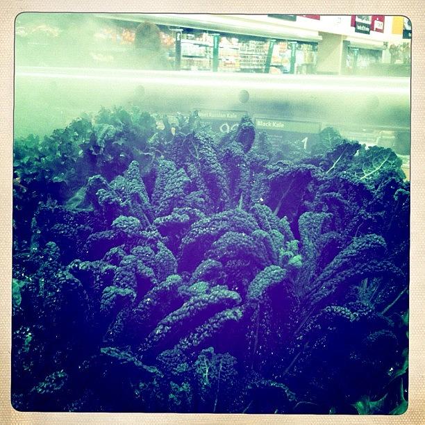 The Misty Forests Of Kale #photo Photograph by Michael James