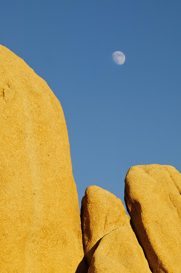 The Moon Rises Over Granite Formations, Joshua Tree National Park, California, Usa Photograph by Enrique R Aguirre Aves
