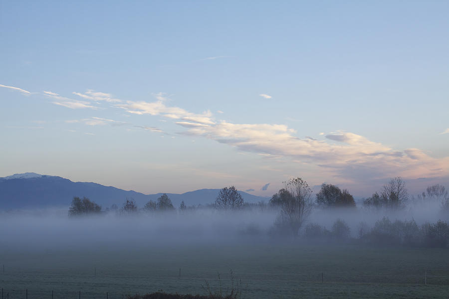 The Morning Fog Photograph by Donato Iannuzzi