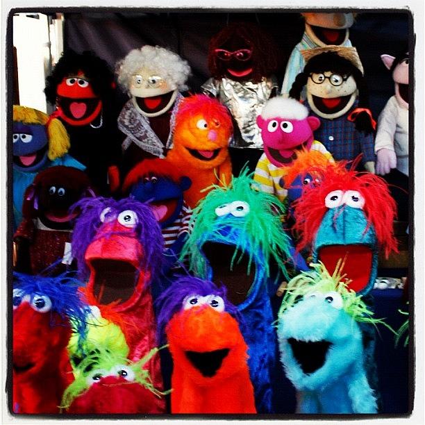 Cool Photograph - The Muppets? by Michael Rivero