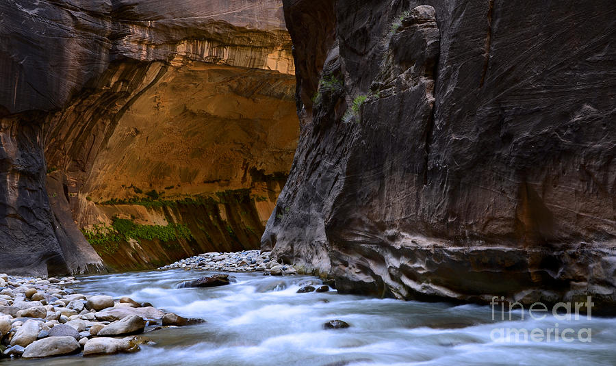 Zion National Park Photograph - The Narrows Time And The River Flowing by Bob Christopher