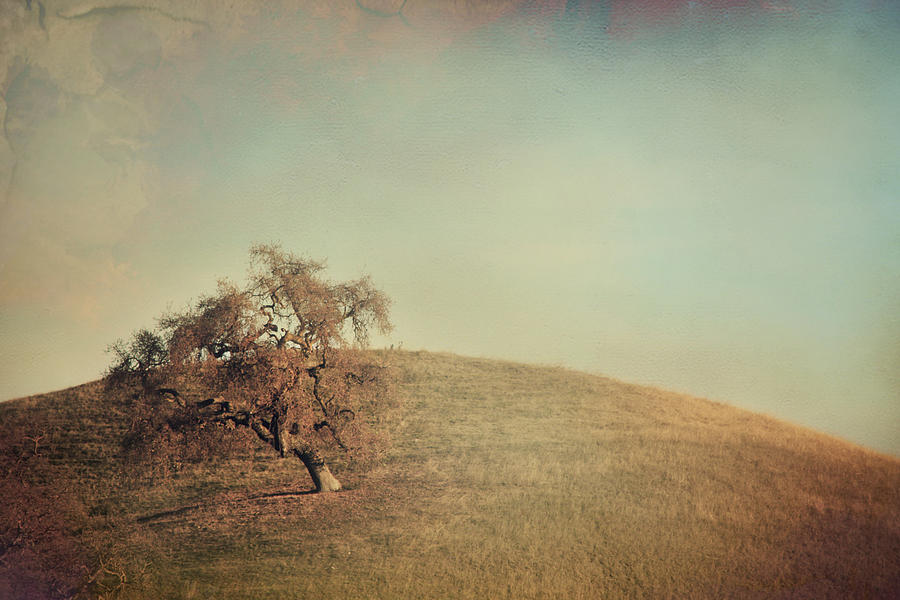 Landscape Photograph - The Neverending Loneliness by Laurie Search
