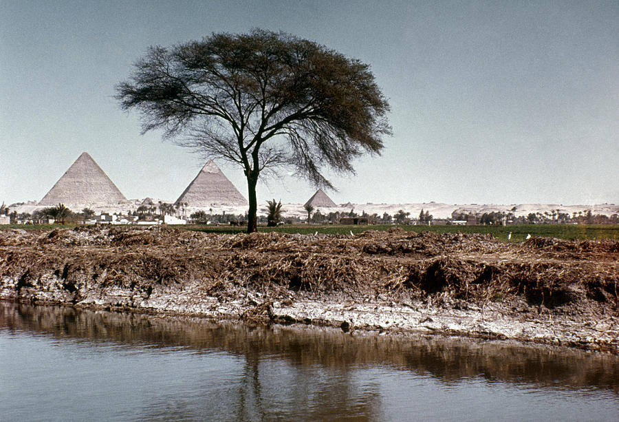 The Nile & Pyramids At Giza Photograph by Granger