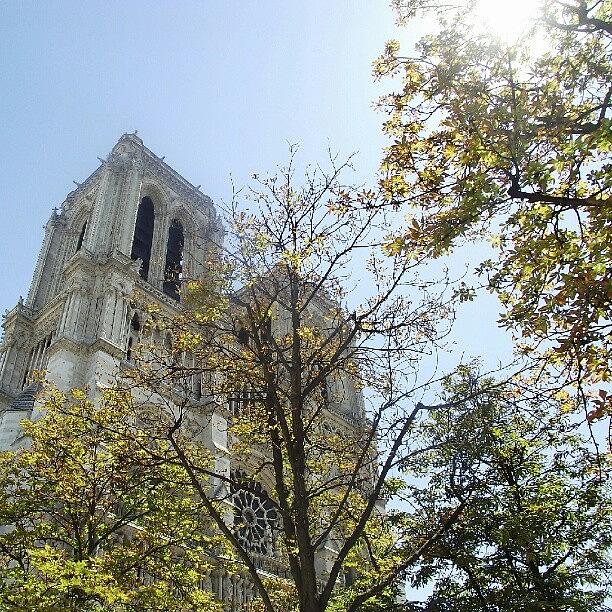 Cute Photograph - The Notre Dame #followbackalways by Jack Alsop