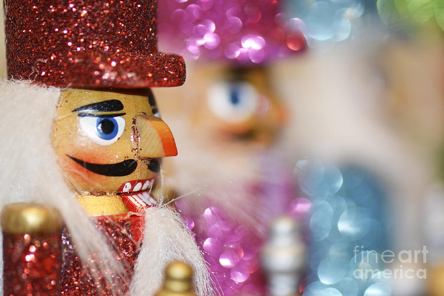 The Nutcrackers Photograph by Traci Cottingham
