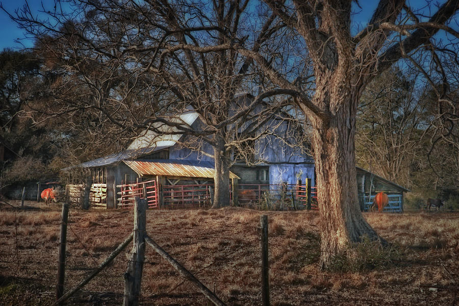 The Old Barn Photograph by Brenda Bryant
